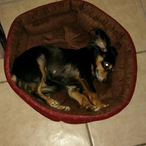 Meet your Posher, Norma